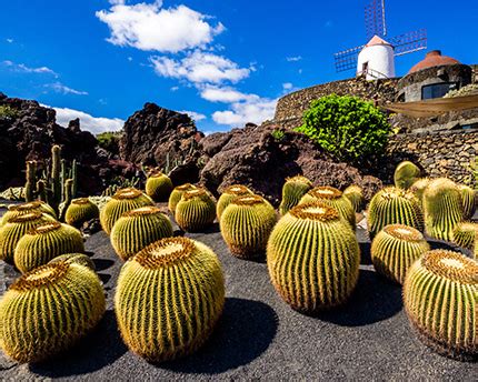 El Jardín de Cactus, la última obra lanzaroteña de Manrique