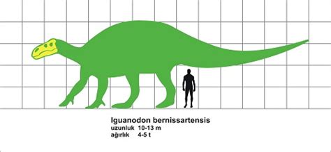 Iguanodon Adaptation, Behavior, Etymology, Facts and Species