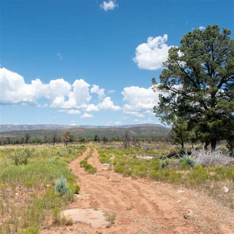 Houston Mesa Hiking Trail in Payson, Arizona in 2021 | Hike adventure, Outdoor hiking, Hiking trails