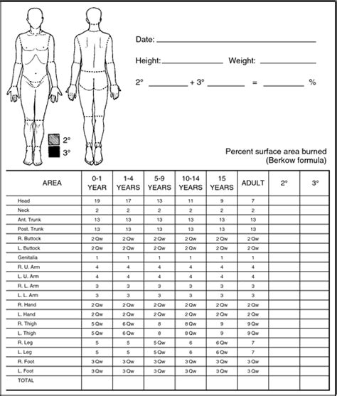 LUND-BROWDER CHART PDF