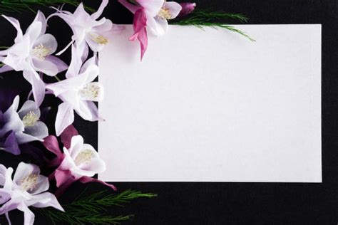 Sympathy Card Stock Photos, Pictures & Royalty-Free Images - iStock