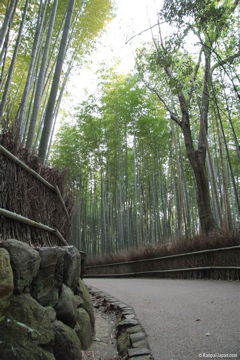 Arashiyama Bamboo Grove - The Sagano Bamboo Forest in Kyoto