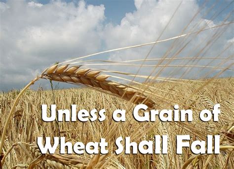 Unless a Grain of Wheat Shall Fall - Farrell | GodSongs.net