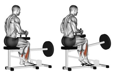 Commercial Seated Calf Raise