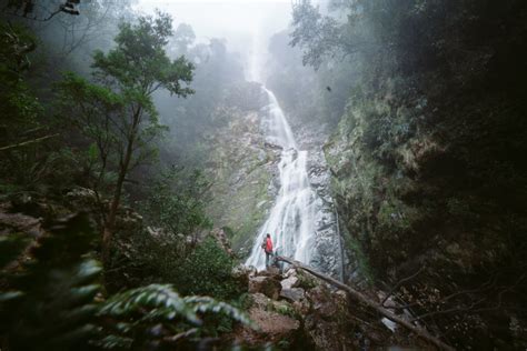 26 Incredible Waterfalls in Tasmania With Map