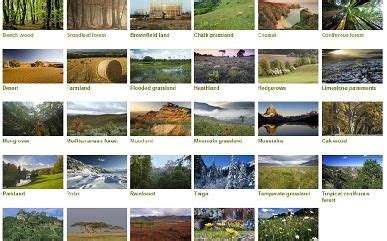 BBC site linking many different types of habitat incredible photographic slide shows ...