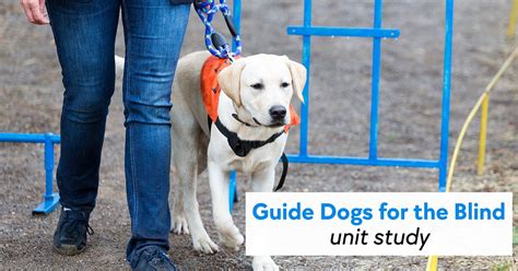 Guide Dogs for the Blind Unit Study + Free Printable