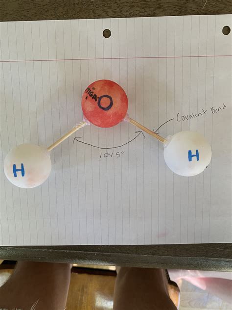 H2O Molecule Model