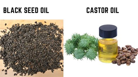 How to Make Black Seed Oil for Hair Growth | Guide to Use