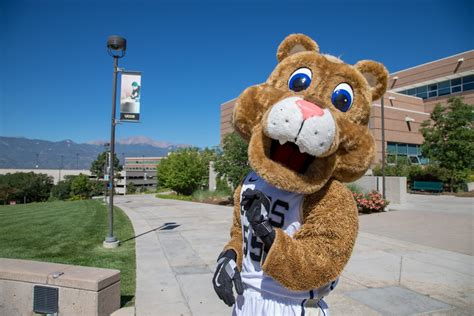 Kraemer Family Library displays mascot history – UCCS Communique