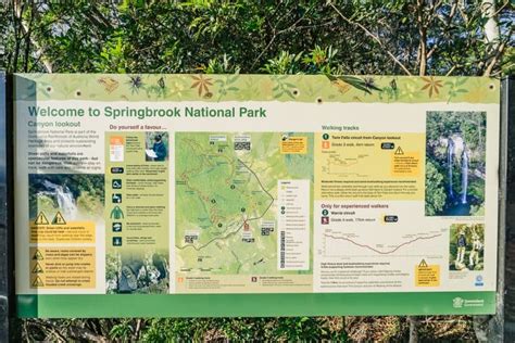 Twin Falls Springbrook National Park - Visitor's Guide