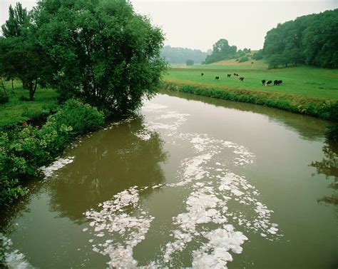 Polluted River Photograph by Martin Bond/science Photo Library - Fine Art America