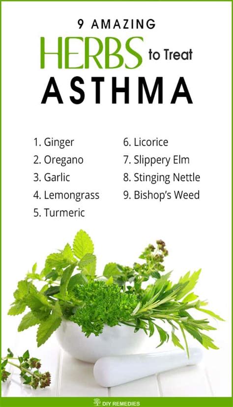 9 Amazing Herbs to Treat Asthma