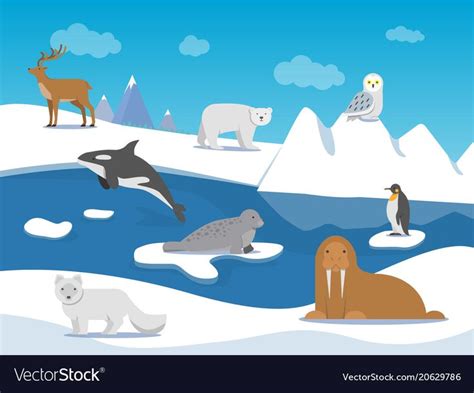 Arctic landscape with different polar animals Vector Image | Arctic ...