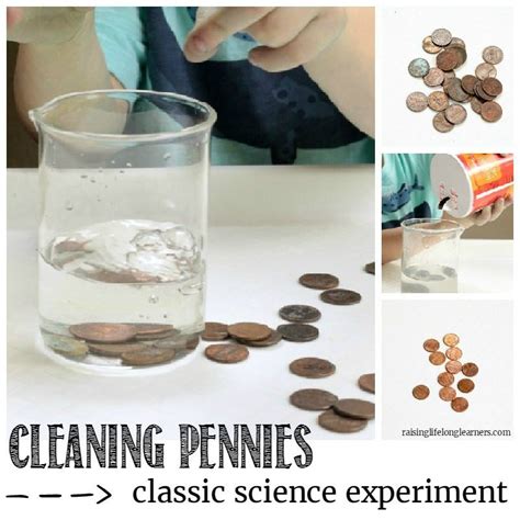 Cleaning Pennies Science Experiment for Kids - Raising Lifelong Learners