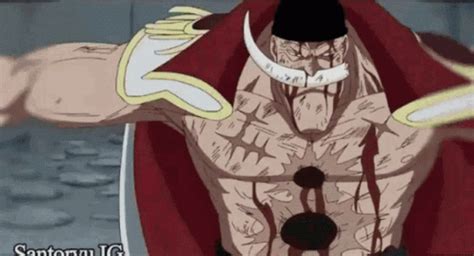 Whitebeard GIF - Whitebeard - Discover & Share GIFs