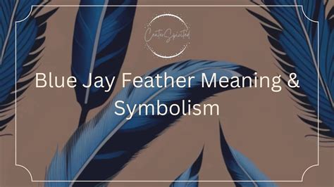 Blue Jay Feather Meaning & Symbolism