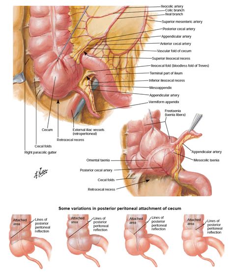 SurgicalCORE | Table/Figure