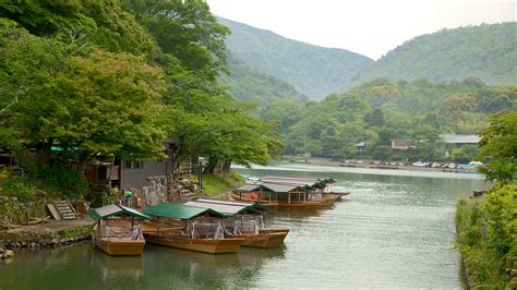 Arashiyama Monkey Park in Kyōto, | Expedia