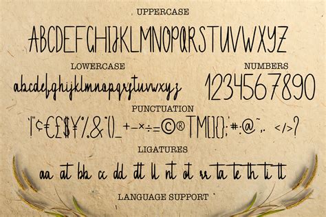 Invitation handwritten font (59012) | Script | Font Bundles