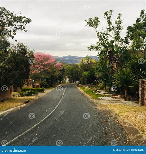 A Surburb in Nelspruit, South Africa Stock Image - Image of common, landscape: 259912745