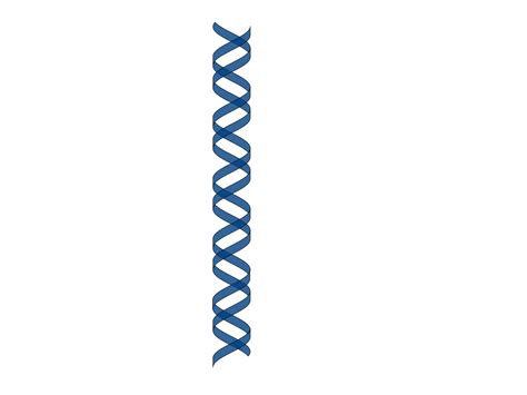 Dna Helix - ClipArt Best