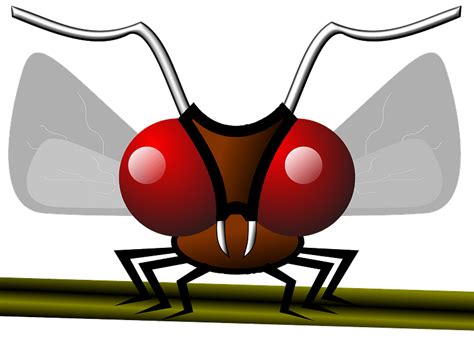 Flying Mosquito. Little Bloodsucker Insects Carriers Of Viruses - Clip Art Library