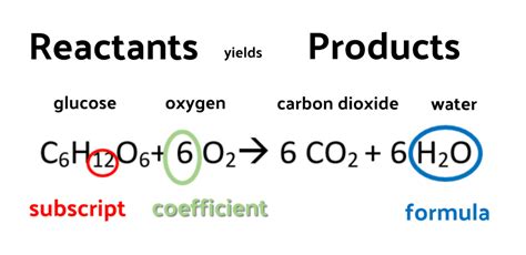 Coefficient In A Chemical Equation - Tessshebaylo