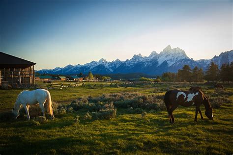 Wyoming Dude Ranch Travel Package - Triangle X Ranch