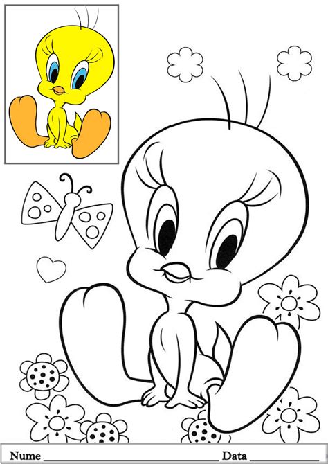 Tweety - Planse de colorat si educative