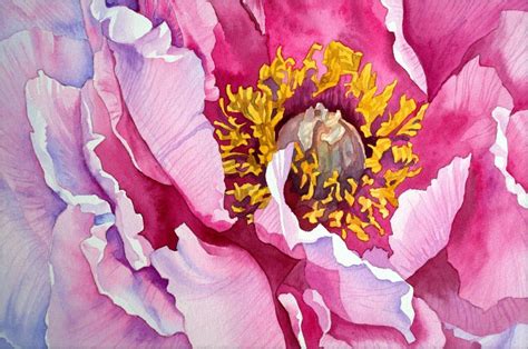 Peony watercolor painting | Fiori dipinti, Disegno fiori, Disegno di fiori