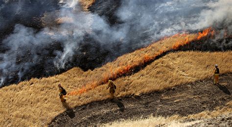 CAL FIRE Exceeds Goal of 100,000 Acres Treated Ahead of Schedule ...