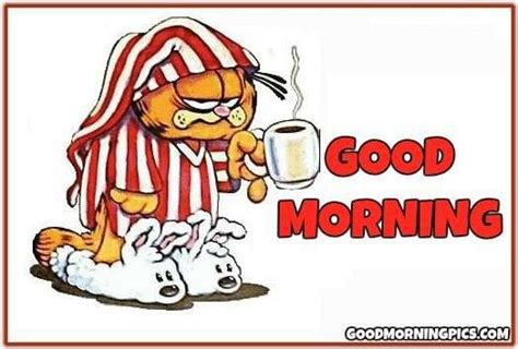 Good morning funny garfield | goodmorningpics.com