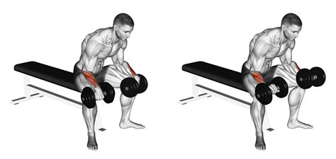 Dumbbell Reverse Wrist Curl: Benefits, Muscles Worked, and More ...