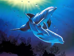 🔥 [47+] 3D Dolphin Wallpapers | WallpaperSafari