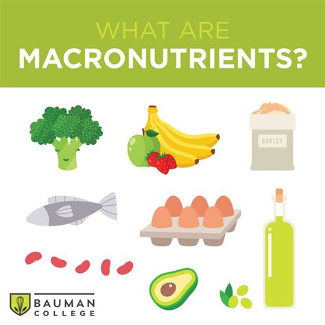 What Are Macronutrients?: Bauman College | Blog and Recipes