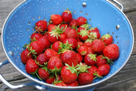 Strawberry Granita Recipe - SeedMoney