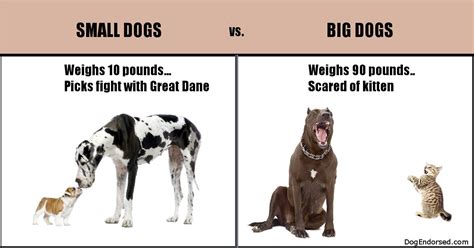 Big Dog Small Dog Meme - listsofways