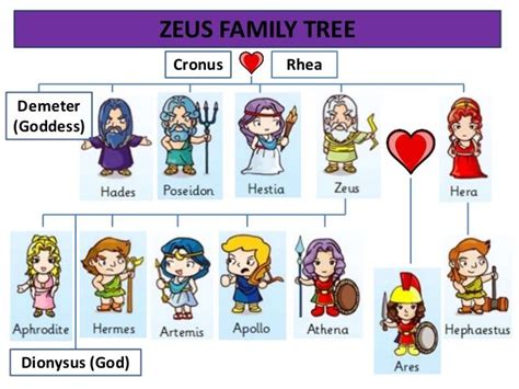 Greek gods | Greek mythology family tree, Zeus family, Greek gods