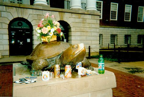 HAPPY 90th BIRTHDAY, TESTUDO! – Terrapin Tales