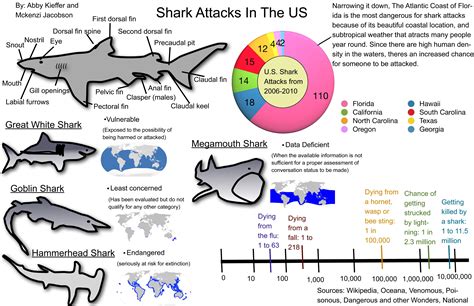 Infographic Shark Attacks Oceana Usa - Bank2home.com