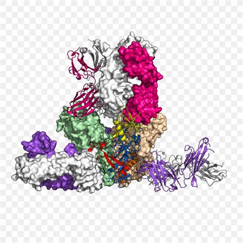 Antibody Glycoprotein Ebola Virus Disease, PNG, 1200x1200px, Antibody, Art, Cell ...