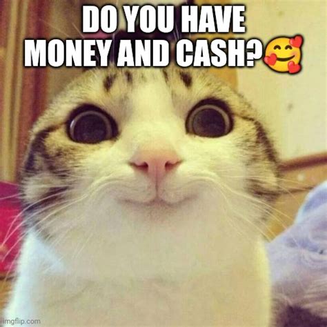 Do you want to save the poor cat?, he needs money - Imgflip