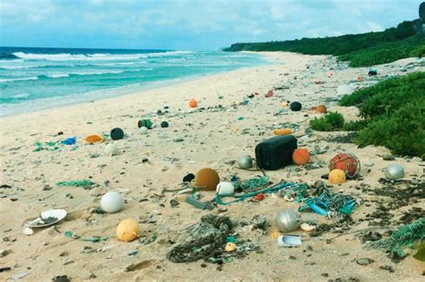 Beaches getting cleaner despite plastic waste | MRW