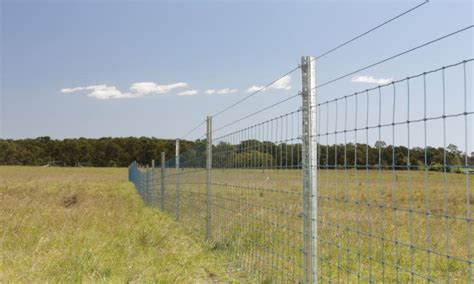 How to maintain farm fencing - FENCiT