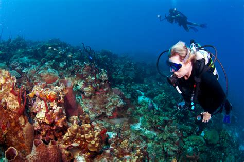 4 Romantic Dive Destinations