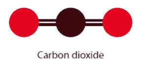 Carbon Dioxide - Molecule of the Month 2012 - JMol version