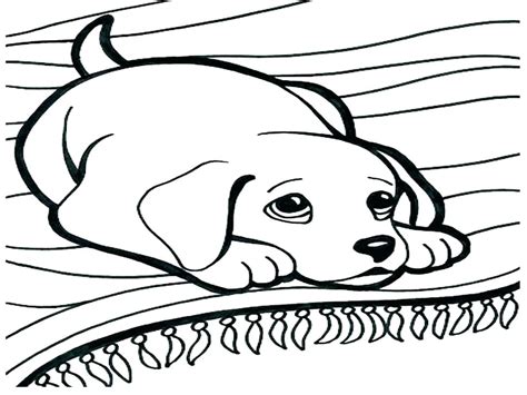 Boxer Puppy Coloring Pages at GetColorings.com | Free printable colorings pages to print and color