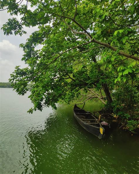 Travel follows: Ashtamudi Lake