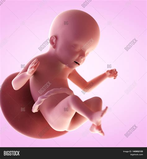 3d Rendered Medically Image & Photo (Free Trial) | Bigstock